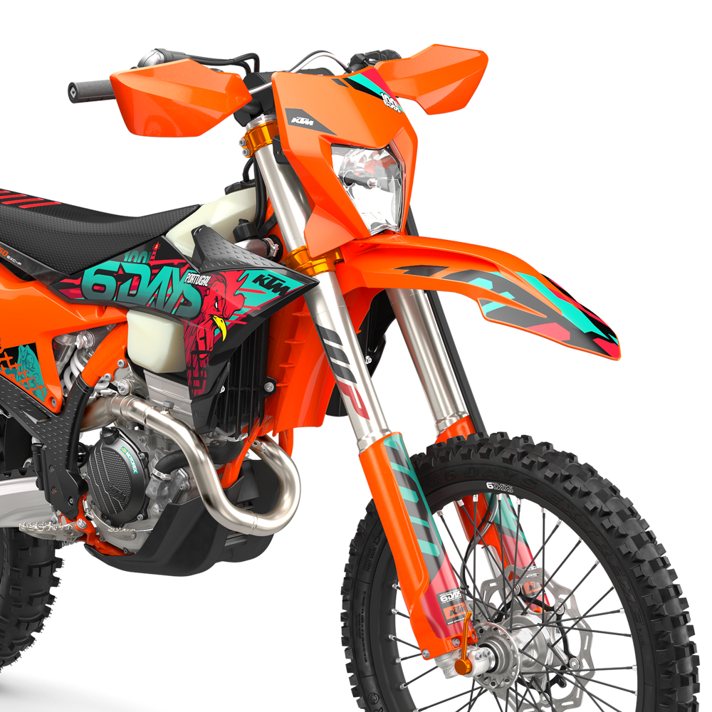 KTM 250 EXC F 6DAYS