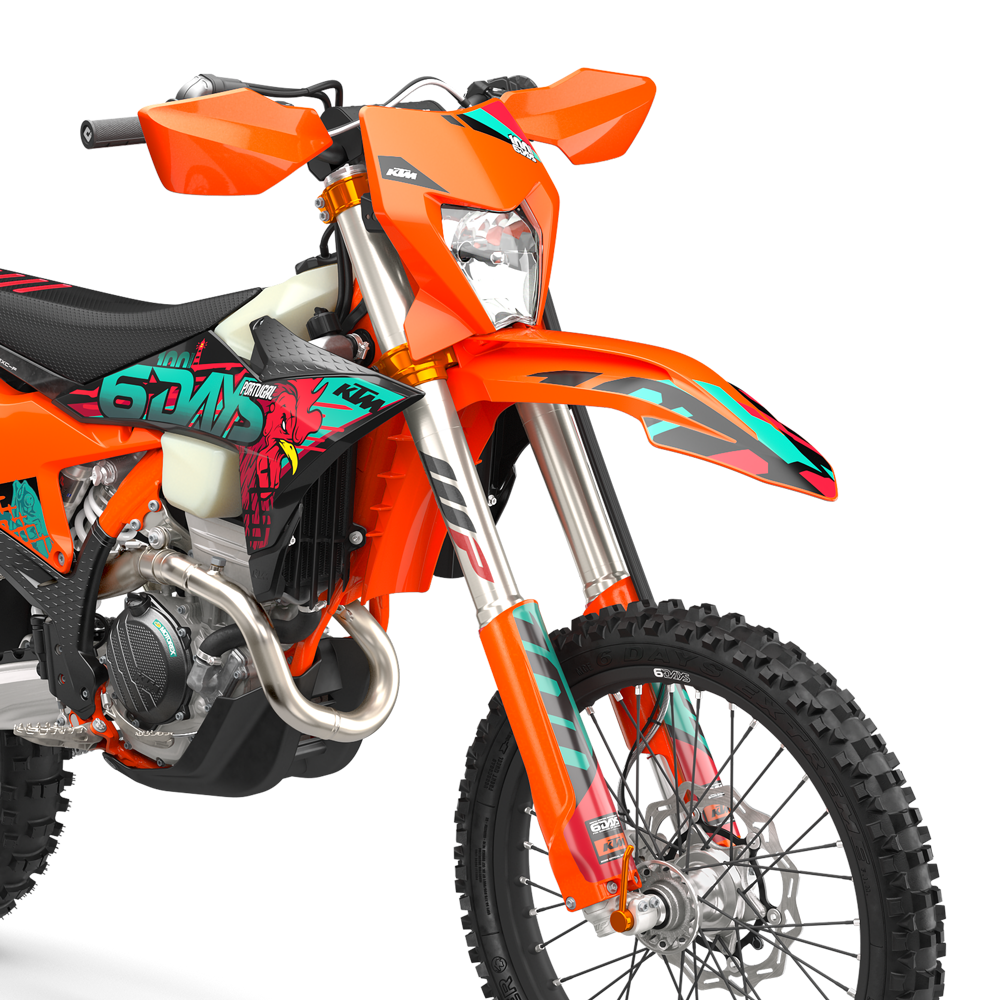 KTM 350 EXC F 6DAYS