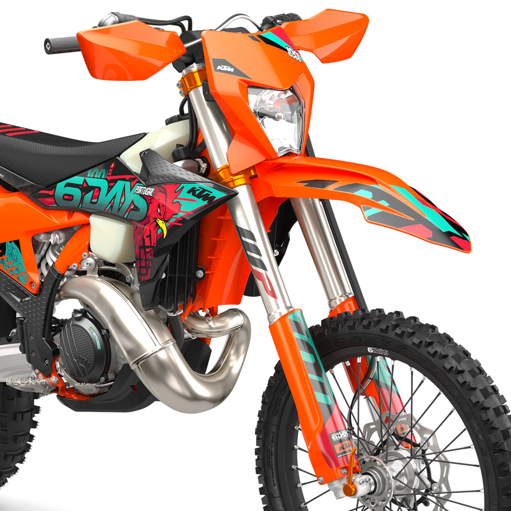 KTM 300 EXC 6DAYS