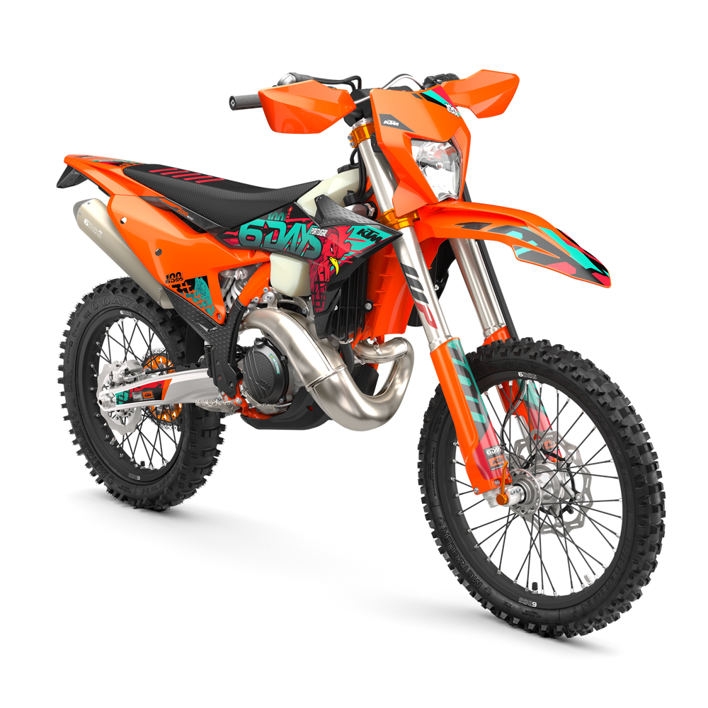KTM 300 EXC 6DAYS
