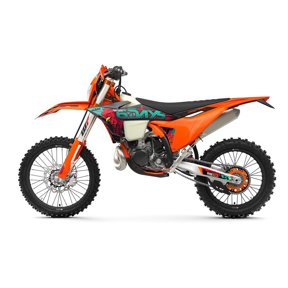KTM 300 EXC 6DAYS