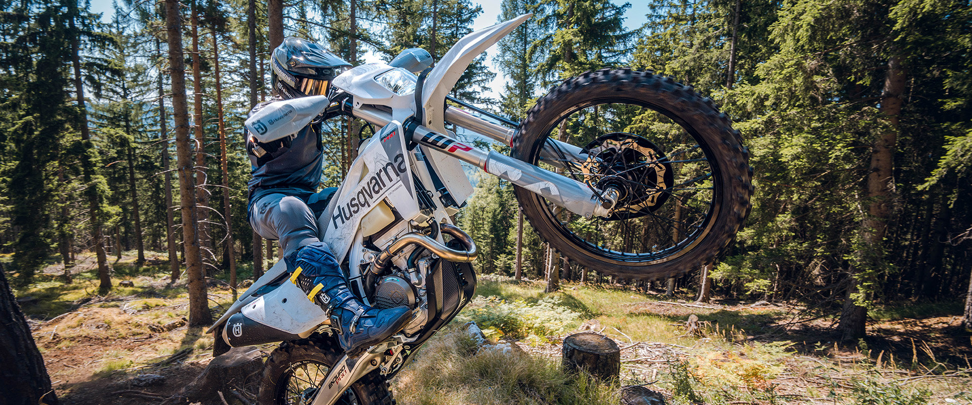 HUSQVARNA FE 350 PRO