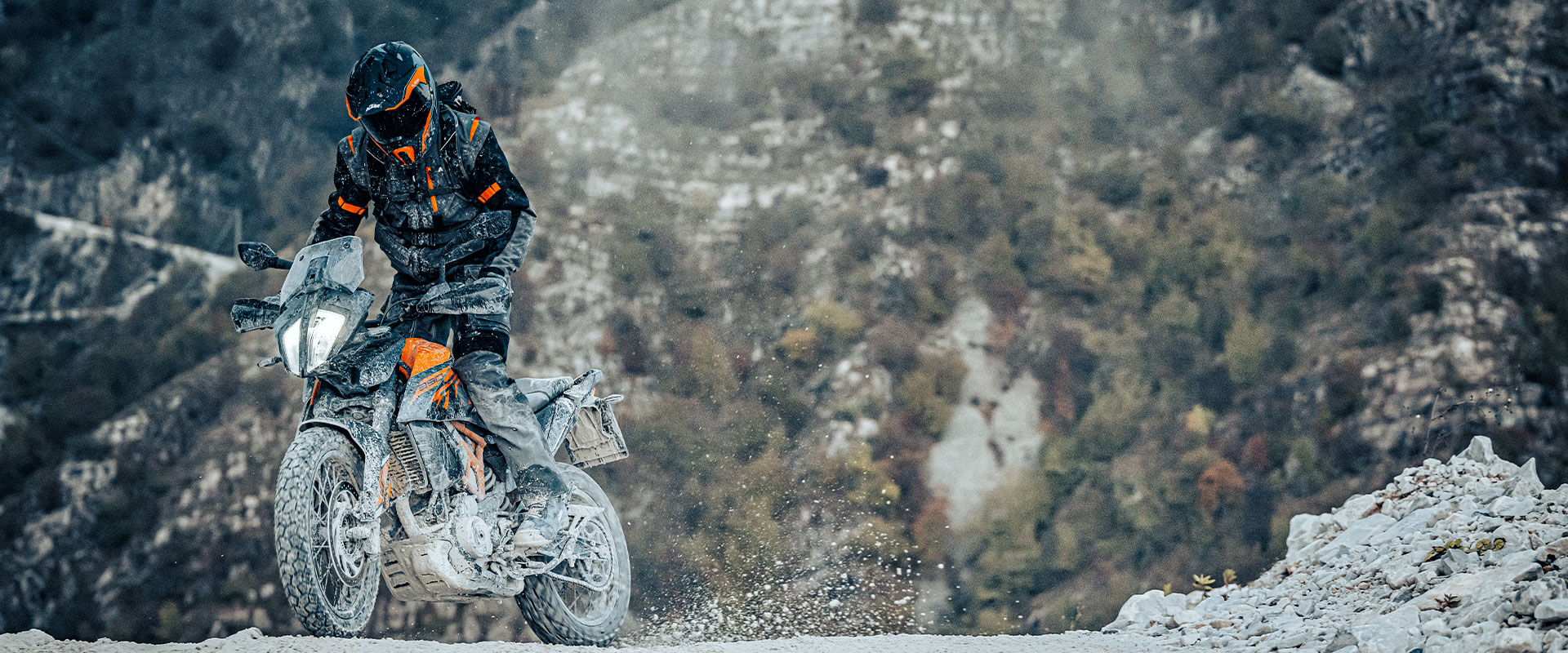 KTM 390 ADVENTURE SW