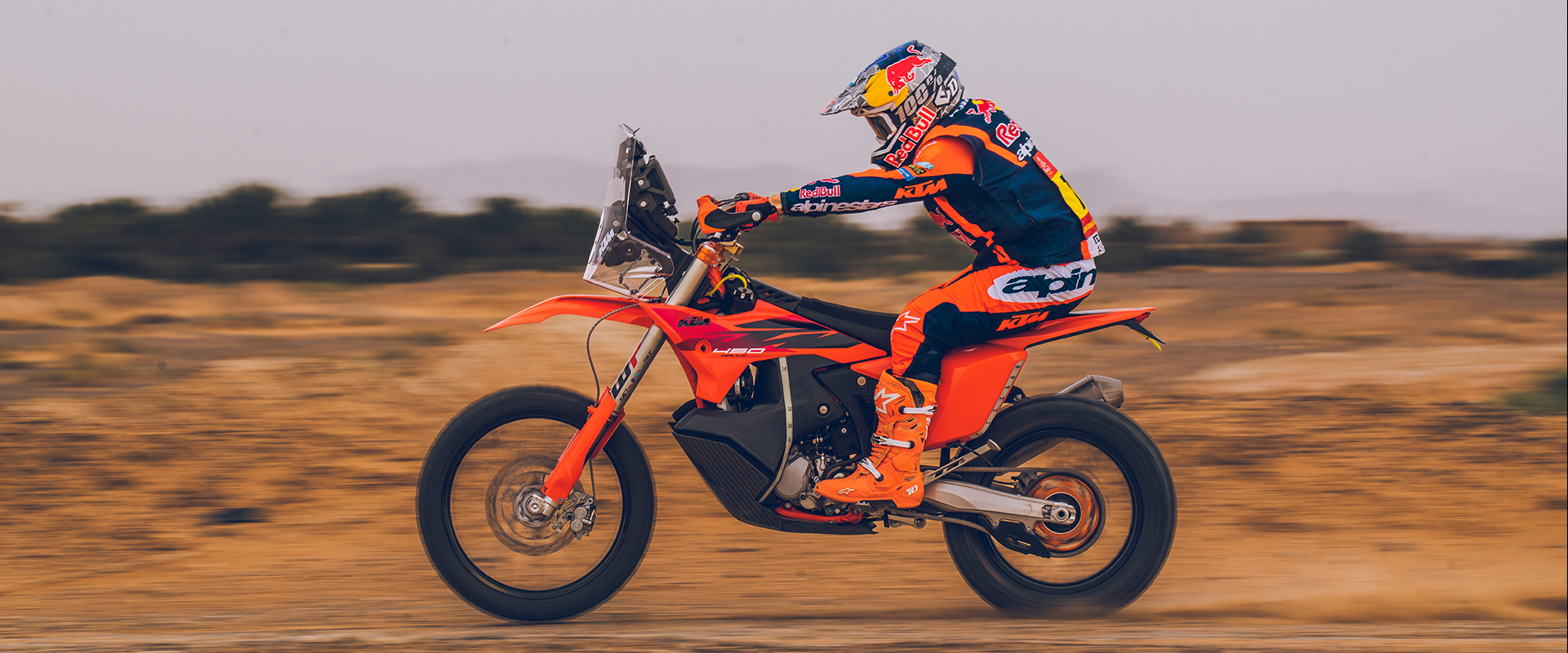 KTM 450 RALLY REPLICA