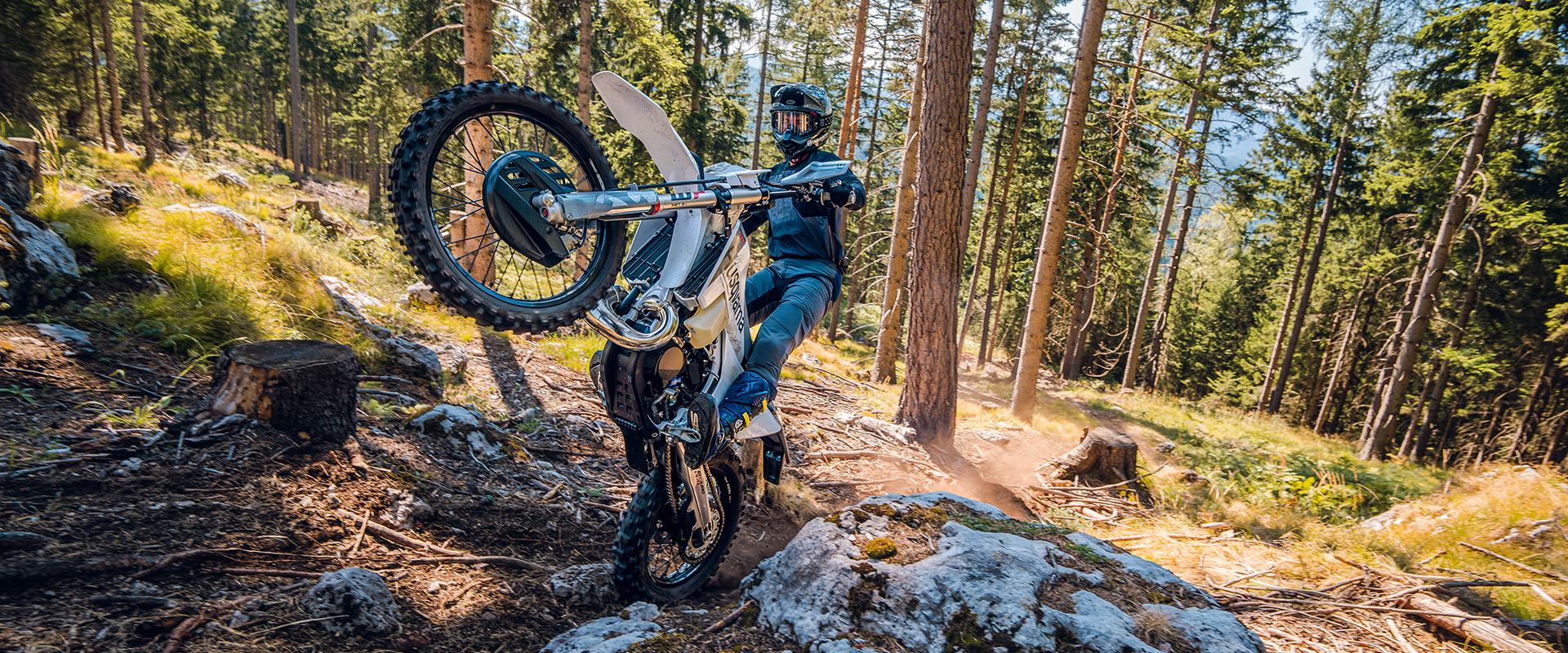 HUSQVARNA TE 300 PRO