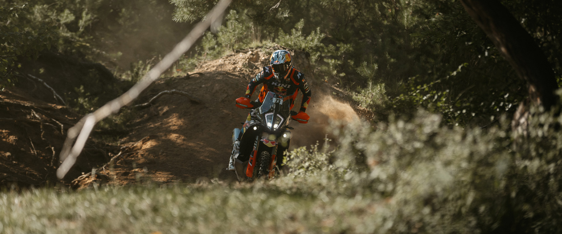 KTM 890 Adventure R Rally